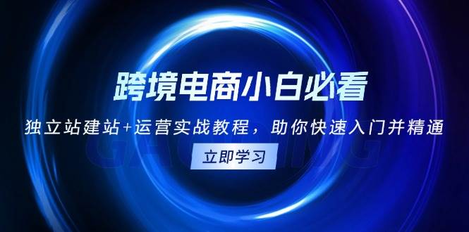 （13503期）跨境电商小白必看！独立站建站+运营实战教程，助你快速入门并精通-云库资源