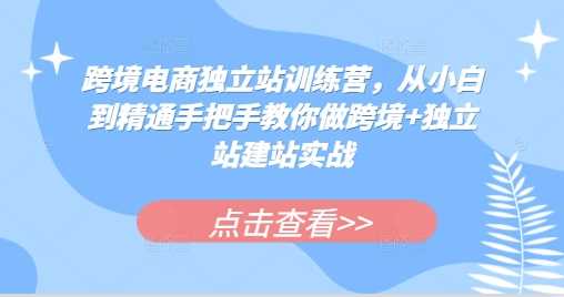 跨境电商独立站训练营，从小白到精通手把手教你做跨境+独立站建站实战-云库资源
