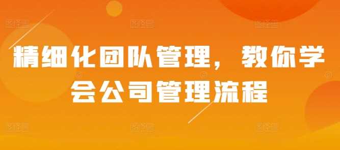精细化团队管理，教你学会公司管理流程-云库资源