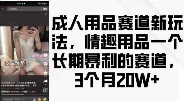 成人用品赛道新玩法，情趣用品一个长期暴利的赛道，3个月收益20个【揭秘】-云库资源