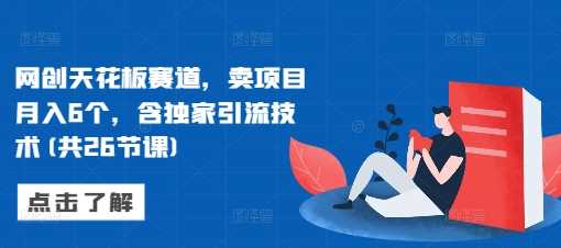 网创天花板赛道，卖项目月入6个，含独家引流技术(共26节课)-云库资源