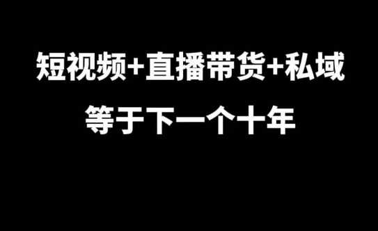 短视频+直播带货+私域等于下一个十年，大佬7年实战经验总结-云库资源