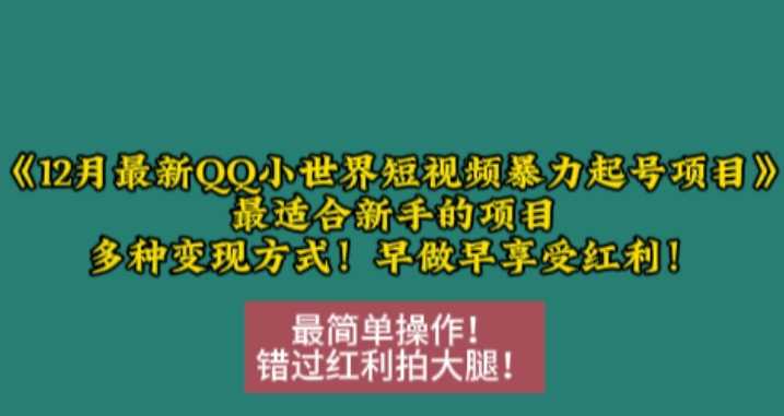 12月最新QQ小世界短视频暴力起号项目，最适合新手的项目，多种变现方式-云库资源