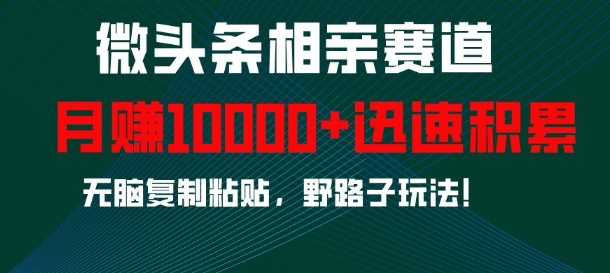 微头条相亲赛道，迅速积累，无脑复制粘贴，野路子玩法，月入1w-云库资源