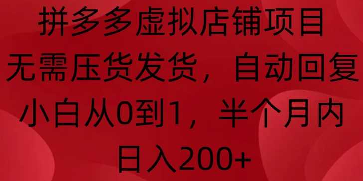 拼多多虚拟店铺项目，无需压货发货，自动回复，小白从0到1，半个月内日入200+【揭秘】-云库资源