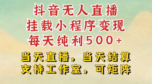 抖音无人直播挂载小程序变现每天纯利500+当天直播，当天结算支持工作室，可矩阵【揭秘】-云库资源