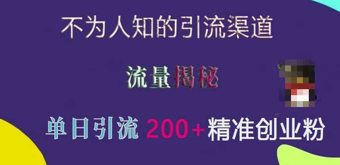 不为人知的引流渠道，流量揭秘，实测单日引流200+精准创业粉【揭秘】-云库资源