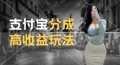支付宝分成计划新玩法，利用交通事故视频，赚收益，轻松月入过W，操作简单【揭秘】-云库资源