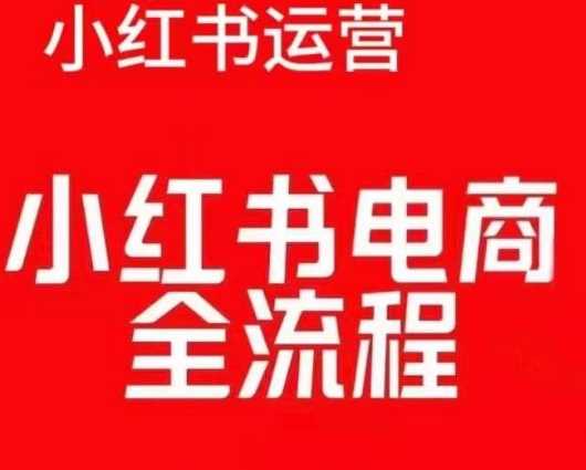 红薯电商实操课，小红书电商全流程-云库资源