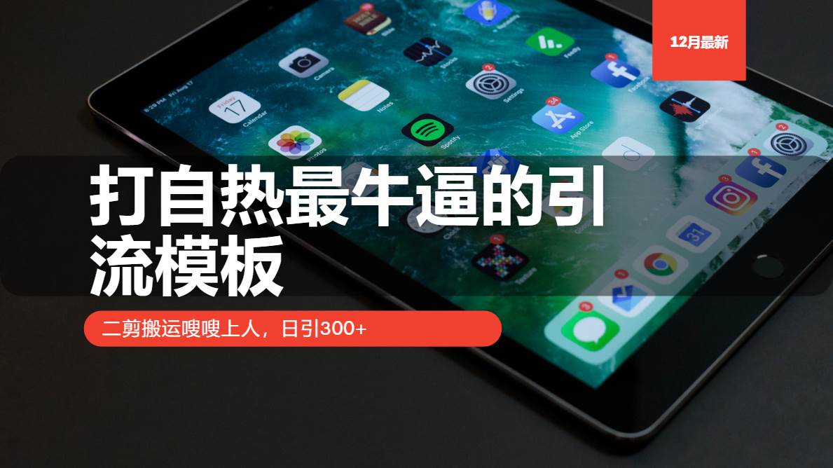 （13654期）打自热最牛逼的引流模板，二剪搬运嗖嗖上人，日引300+-云库资源