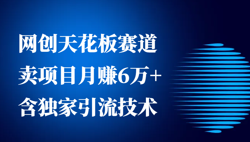网创天花板赛道，卖项目月赚6万+，含独家引流技术（共26节课）-云库资源