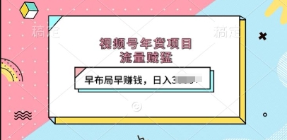 视频号年货项目，流量贼猛，早布局早挣钱，日入上k【揭秘】-云库资源