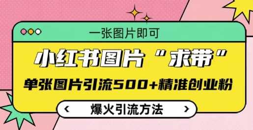 小红书图片‘求带’爆火引流法，单张图片引流500+精准创业粉【揭秘】-云库资源