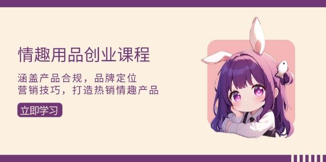 （13682期）情趣用品创业课程：涵盖产品合规，品牌定位，营销技巧，打造热销情趣产品-云库资源