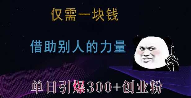 仅需一块钱，借助别人的力量，单日引爆300+创业粉、兼职粉【揭秘】-云库资源
