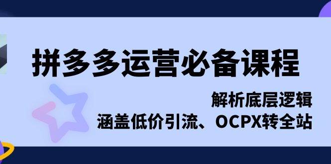 （13700期）拼多多运营必备课程，解析底层逻辑，涵盖低价引流、OCPX转全站-云库资源