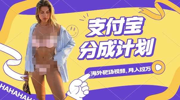 利用海外靶场射击视频，挣支付宝分成收益，轻松月入过W【揭秘】-云库资源