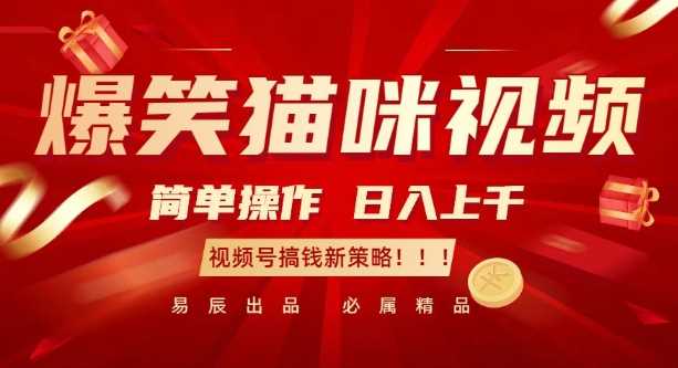爆笑猫咪视频：简单操作，日入过K，视频号搞钱新策略【揭秘】-云库资源