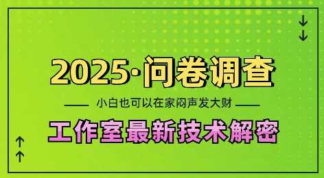 2025问卷调查最新工作室技术解密：一个人在家也可以闷声发大财，小白一天2张，可矩阵放大【揭秘】-云库资源