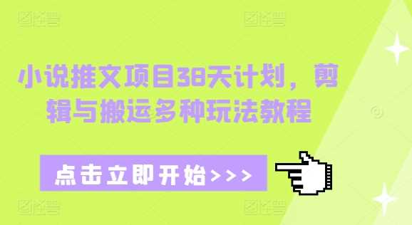 小说推文项目38天计划，剪辑与搬运多种玩法教程-云库资源