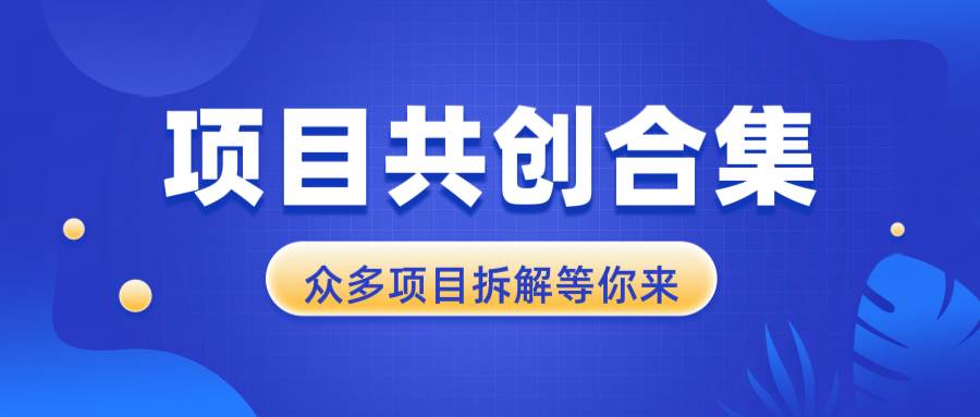 （13778期）项目共创合集，从0-1全过程拆解，让你迅速找到适合自已的项目-云库资源