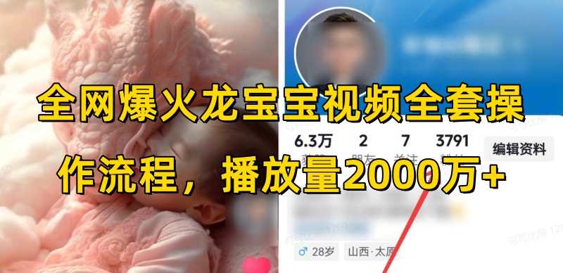 全网爆火龙宝宝视频全套操作流程，播放量2000万+-云库资源