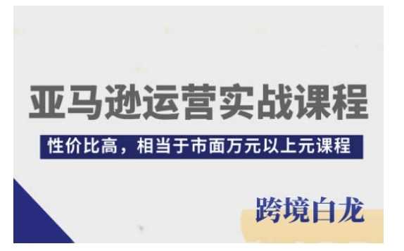 亚马逊运营实战课程，亚马逊从入门到精通，性价比高，相当于市面万元以上元课程-云库资源