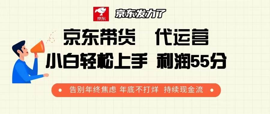 （13833期）京东带货 代运营 利润55分 告别年终焦虑 年底不打烊 持续现金流-云库资源