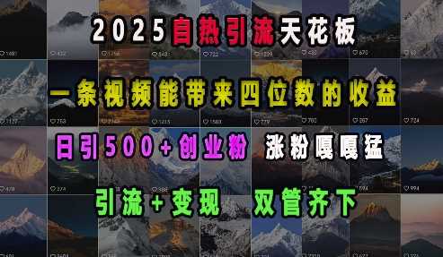 2025自热引流天花板，一条视频能带来四位数的收益，引流+变现双管齐下，日引500+创业粉，涨粉嘎嘎猛-云库资源