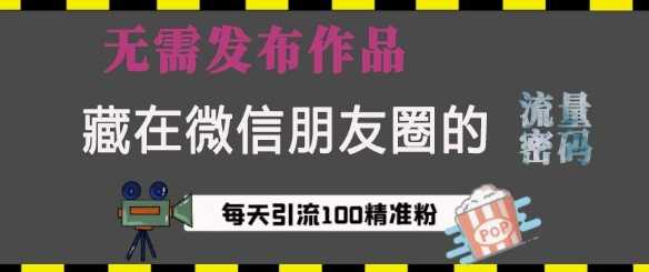 藏在微信朋友圈的流量密码，无需发布作品，单日引流100+精准创业粉【揭秘】-云库资源