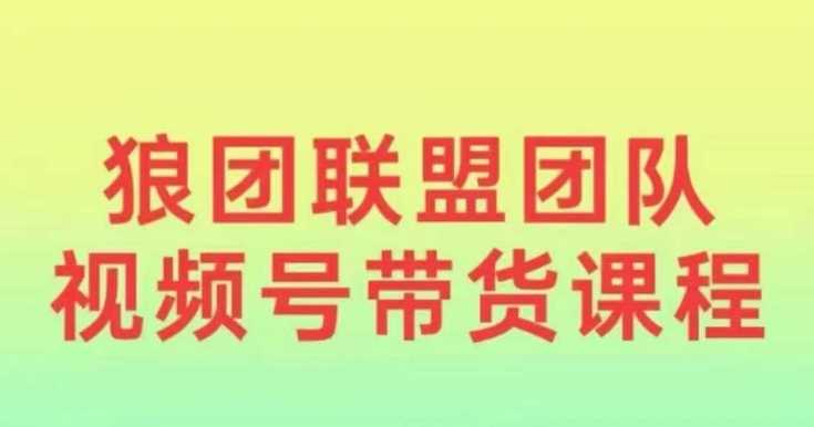 狼团联盟2024视频号带货，0基础小白快速入局视频号-云库资源