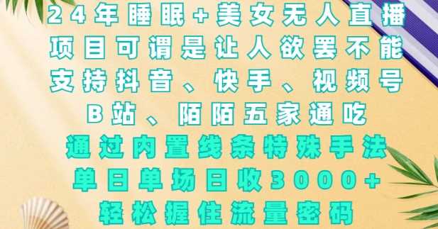 2024年睡眠+美女无人直播，通过内置线条特殊手法，单场日收3k+，轻松握住流量密码【揭秘】-云库资源