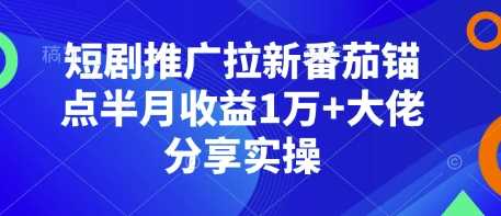 短剧推广拉新番茄锚点半月收益1万+大佬分享实操-云库资源
