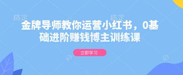 金牌导师教你运营小红书，0基础进阶赚钱博主训练课-云库资源