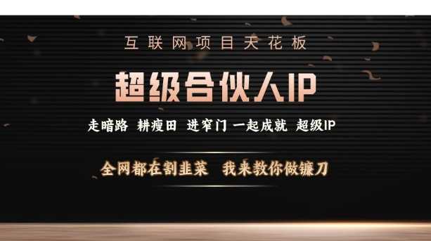互联网项目天花板，超级合伙人IP，全网都在割韭菜，我来教你做镰刀【仅揭秘】-云库资源