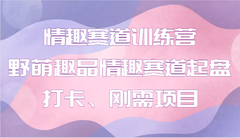 情趣赛道训练营 野萌趣品情趣赛道起盘打卡、刚需项目-云库资源