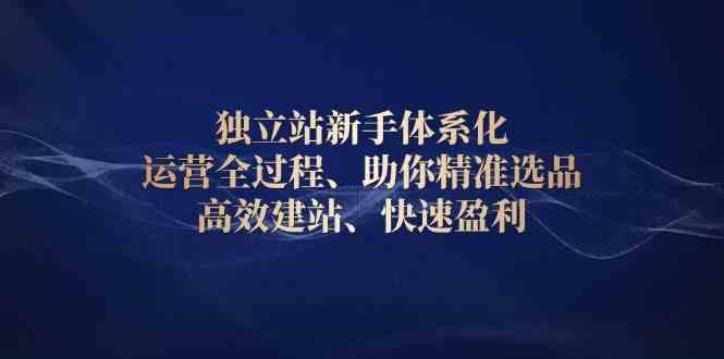 独立站新手体系化 运营全过程，助你精准选品、高效建站、快速盈利-云库资源