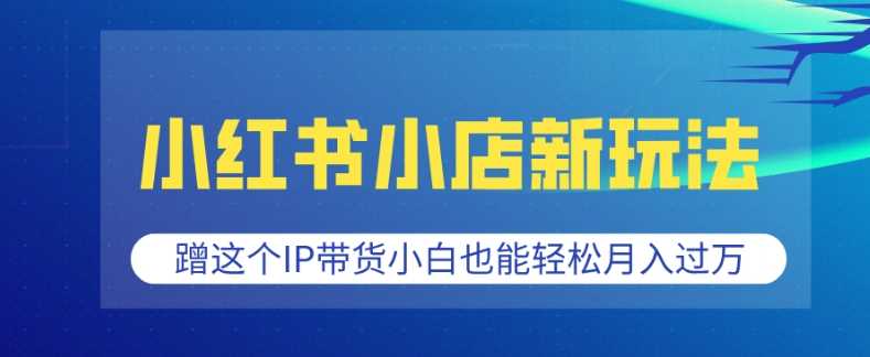 小红书小店新玩法，蹭这个IP带货，小白也能轻松月入过W【揭秘】-云库资源