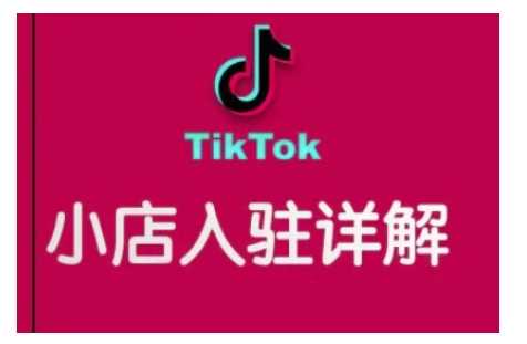 TikTok跨境小店运营全攻略，帮助你独立运营TK跨境小店的能力，实现销量增长-云库资源