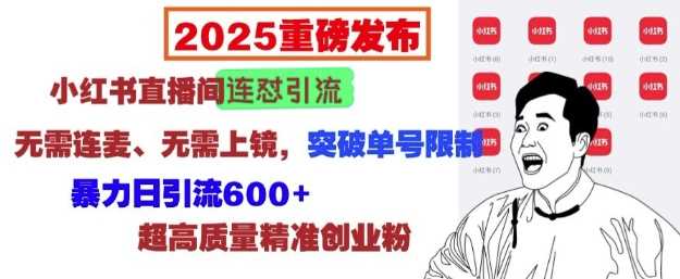 2025重磅发布：小红书直播间连怼引流，无需连麦、无需上镜，突破单号限制，暴力日引流600+-云库资源