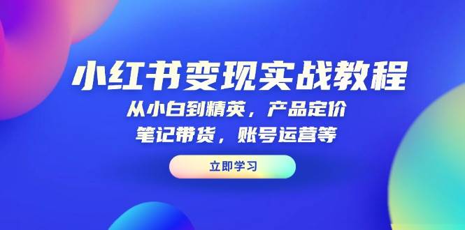 小红书变现实战教程：从小白到精英，产品定价，笔记带货，账号运营等-云库资源