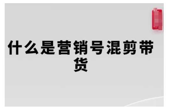 营销号混剪带货，从内容创作到流量变现的全流程，教你用营销号形式做混剪带货-云库资源