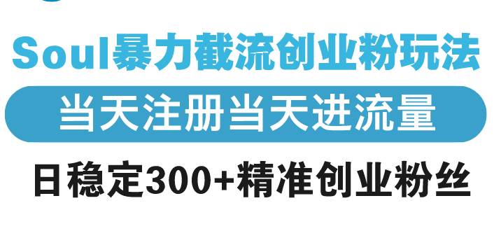 （13935期）Soul暴力截流创业粉玩法，当天注册当天进流量，日稳定300+精准创业粉丝-云库资源