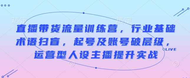 直播带货流量训练营，行业基础术语扫盲，起号及账号破层级，运营型人设主播提升实战-云库资源