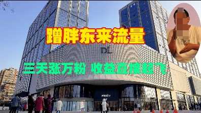 蹭胖东来流量，三天涨万粉，收益直接起飞-云库资源