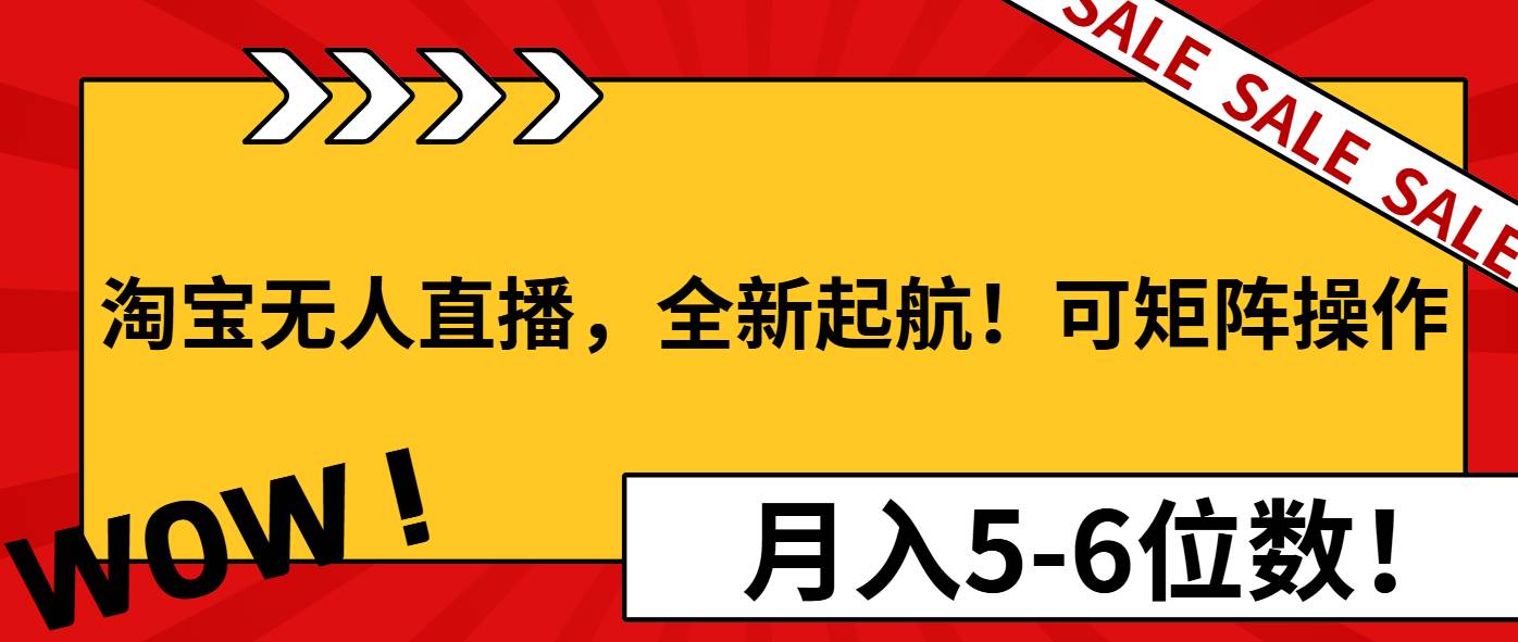 （13946期）淘宝无人直播，全新起航！可矩阵操作，月入5-6位数！-云库资源