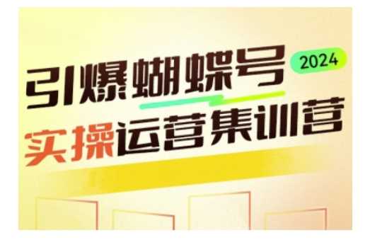引爆蝴蝶号实操运营，助力你深度掌握蝴蝶号运营，实现高效实操，开启流量变现之路-云库资源