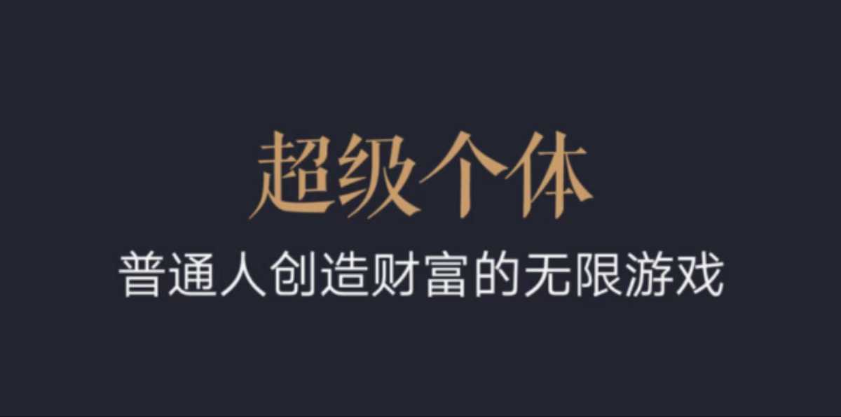 超级个体：2024-2025翻盘指南，普通人创造财富的无限游戏-云库资源