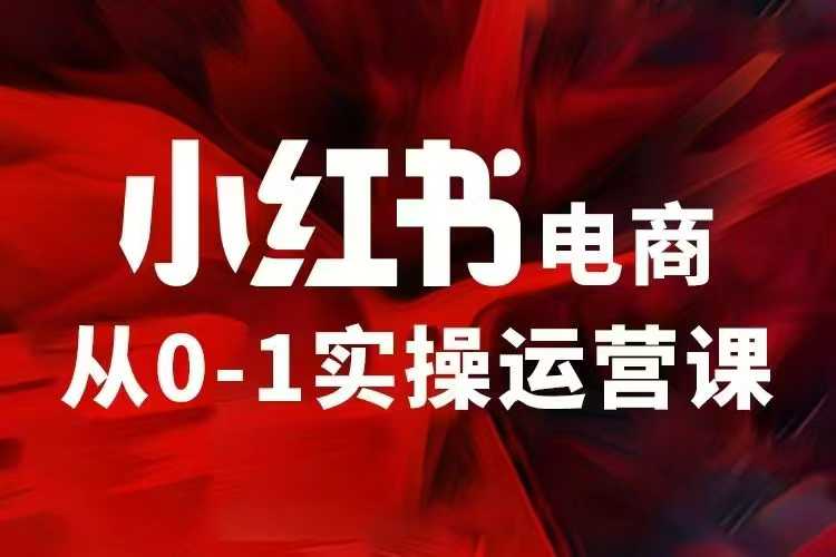 小红书电商运营，97节小红书vip内部课，带你实现小红书赚钱-云库资源
