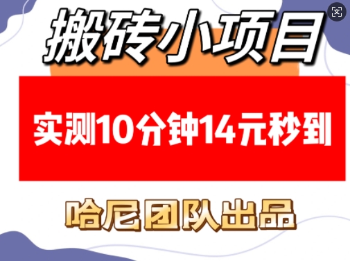 搬砖小项目，实测10分钟14元秒到，每天稳定几张(赠送必看稳定)-云库资源